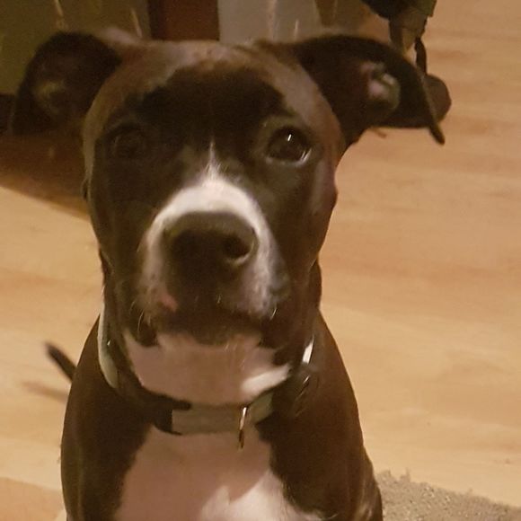 Meet your Posher, Jody - Picture 1 of 1